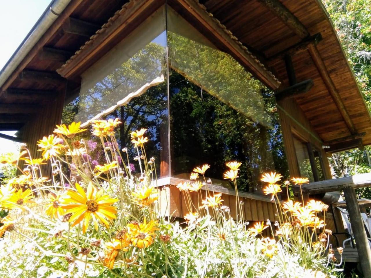 Cabanas El Cipres Pucón Esterno foto