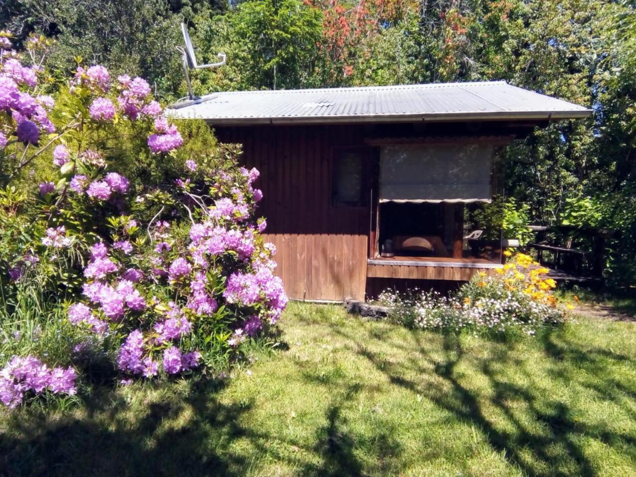 Cabanas El Cipres Pucón Esterno foto