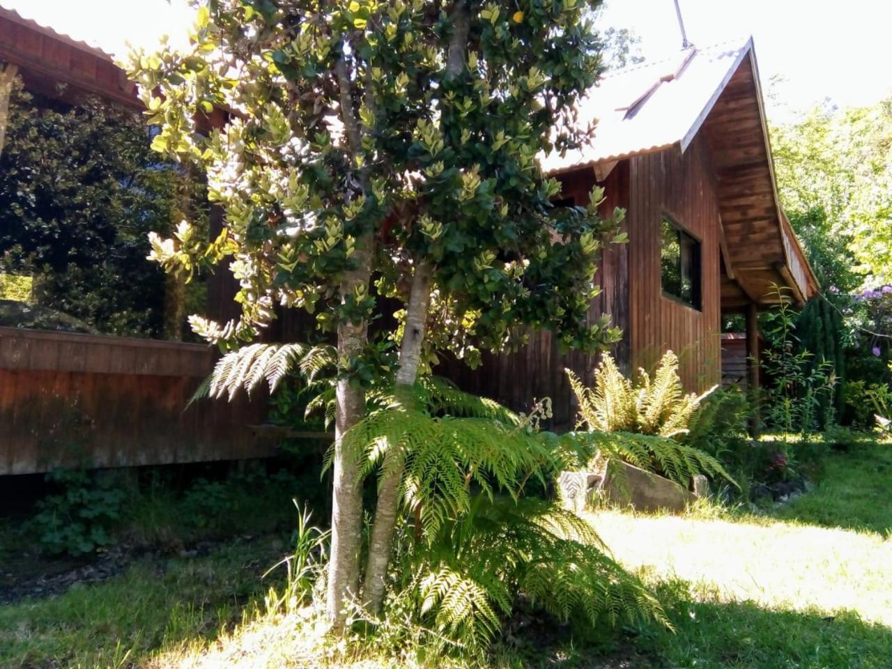Cabanas El Cipres Pucón Esterno foto